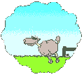 login-sheep